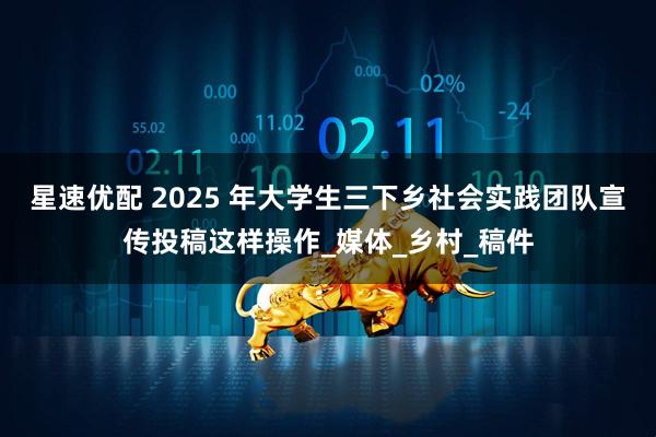星速优配 2025 年大学生三下乡社会实践团队宣传投稿这样操作_媒体_乡村_稿件