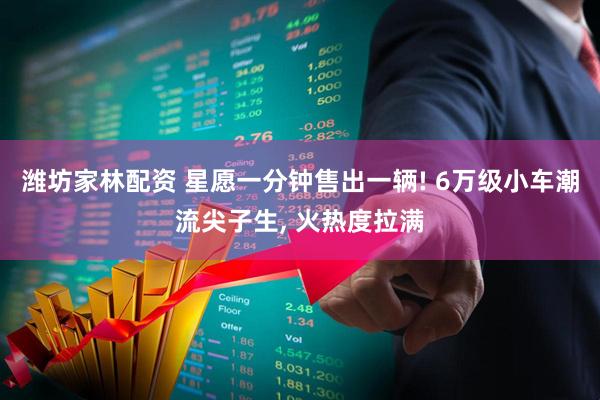 潍坊家林配资 星愿一分钟售出一辆! 6万级小车潮流尖子生, 火热度拉满