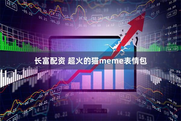 长富配资 超火的猫meme表情包