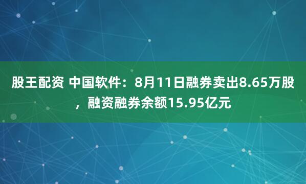 股王配资 中国软件：8月11日融券卖出8.65万股，融资融券余额15.95亿元